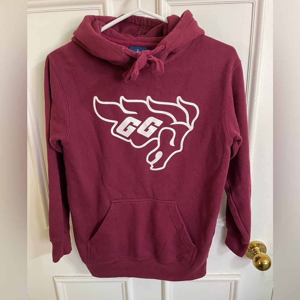 Nice UOttawa Gee Gees hoodie unisex